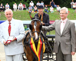Fahrpony Champion Altina aus dem Jahre 2011. Foto: Brit Placzek