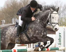 Mike Ortmann (Bollewick) gewann in Cramon das Seniorenspringen auf Liko. Foto: Wego