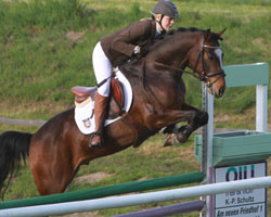 Franziska Lass holte sich mit Vivus vM unangefochten den Sieg im L-Springen. Foto: Wego