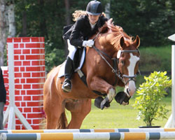Zweifache L-Siegerin wurde Liane Keller in Plöwen - hier auf Escuipe de Coeur. Foto: Wego