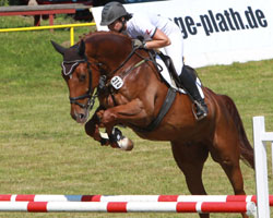 Auch der Mecklenburger Legolas (v. Lord Kemm) gehörte unter Loreen Schreiter (Zierow) wieder zu den Springpferdesiegern. Foto: Wego