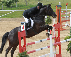 Der 53-jährige Bodo Holtz aus Plau gewann in Malchow beide M-Springen. Foto: Jutta Wego