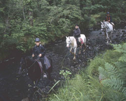 Ritt durch einen Fluss.