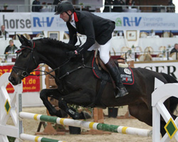 Beim Ersten Hallenturnier der Saison gewann André Thieme in Havekost/SH das Youngster-Finale auf Voigstdorfs Quonschbob (Foto) und wurde im Großen Preis Zweiter auf Livios. Foto: Jutta Wego