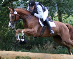 Der 2. Platz bei den Dreijährigen ging nach Ganschow an Goldregen v. Dramatiker-Lamarc. Foto: Lohrmann