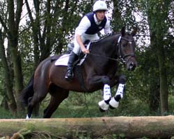 Sieger bei den Dreijährigen wurde der Trakehner Hengst ORCA v. Krokant (Gisa Löwe, Meyenburg). Foto: Lohrmann