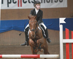 Johann Greve (Gadebusch) tritt in die Fußtapfen seiner Eltern und gewann das E-Springen gegen die Uhr auf Pony Kaisertanz. Foto: Wego
