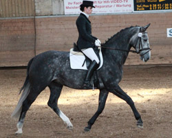 Andrea Elsholz kam in heimischer Halle zu vier Platzierungen, eine auf Lilli Marlene in der Dressurpferdeprüfung Klasse L. Foto: Wego
