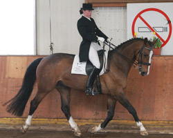 Einen 3. Platz in der Trostprüfung S3 gab es für Ina Schmidt aus Valluhn auf Prosecco. Foto: Wego