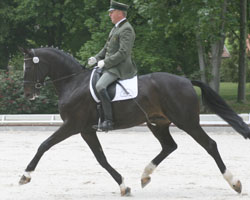 Auf Dozent wurde Michael Thieme am 3. Zierower Dressurwochenende Zweiter in der S-Dressur S3 und Vierter in der Intermediaire I. Foto. Wego