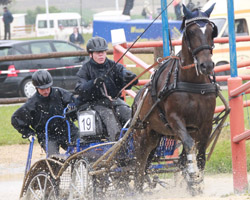 Sie war nur auf zwei Turnieren sportlich unterwegs, Yvonne Fiering aus Neuhof/Poel nimmt mit ihrem Pony Beethoven nach ihren S-Erfolgen in Olfen-Vinnum dennoch die Spitzenposition unter den fahrern mit Erfolgen in Klasse S ein.