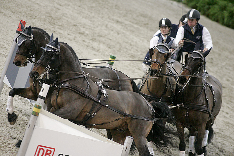 Der Australier Boyd Exell hat in Stuttgart den Vierspänner-Weltcup mit Weile gewonnen. Foto: Rinaldo de Craen