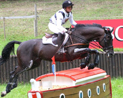 Michael Jung ist nach wie vor die Nummer eins im Championatskader. Jetzt hat er sein Pferd River of Joy (Foto) verkauft. Das Pferd ist in Deutschland geblieben. Wo es seinen Hafer frisst, darüber herrscht noch Stillschweigen.