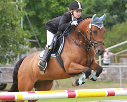Highlight - Landeschampion der sechs- u. siebenjährigen MV-Vielseitigkeitsponys. Foto: Jutta Wego