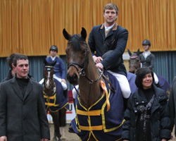 Die 3. Auflage der Schweriner Horse Show startet am 7. Februar. Foto: Jutta Wego
