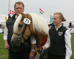 Werner Reimer, der das Haflingergestüt in Zarnewanz betreibt - hier mit Partnerin Birgit - führt zum dritten Mal das Ranking der Ponyzüchter an. Foto: Jutta Wego