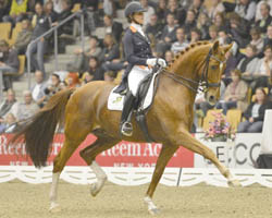 Die Niederländerin Adelinde Cornelissen hat auf Jerich Parzival Die Grand-Prix-Kür von Mechelem mit 88,575 Prozent gewonnen.