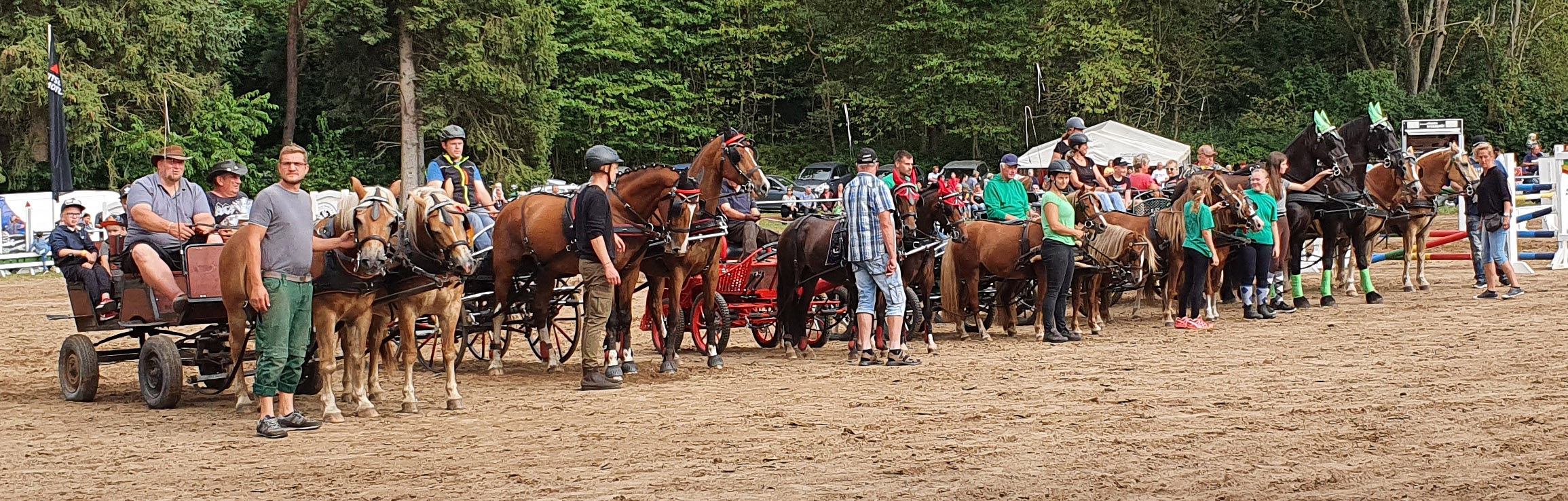 Parade der Fahrer mit Siegerehrung als Abschlussbild des Turniers in Poseritz: v.l. Eric Behnke mit Haflingern, Tom Brodersen mit Mecklenburgern, Ulli Haase mit Welsh A Ponys, Rainer Kanke mit Shetlandponys, Silvio Schröter mit Wels A Ponys, Anja Schulz mit Friesen, Bernd Thees mit Haflingern. © Jutta Wego