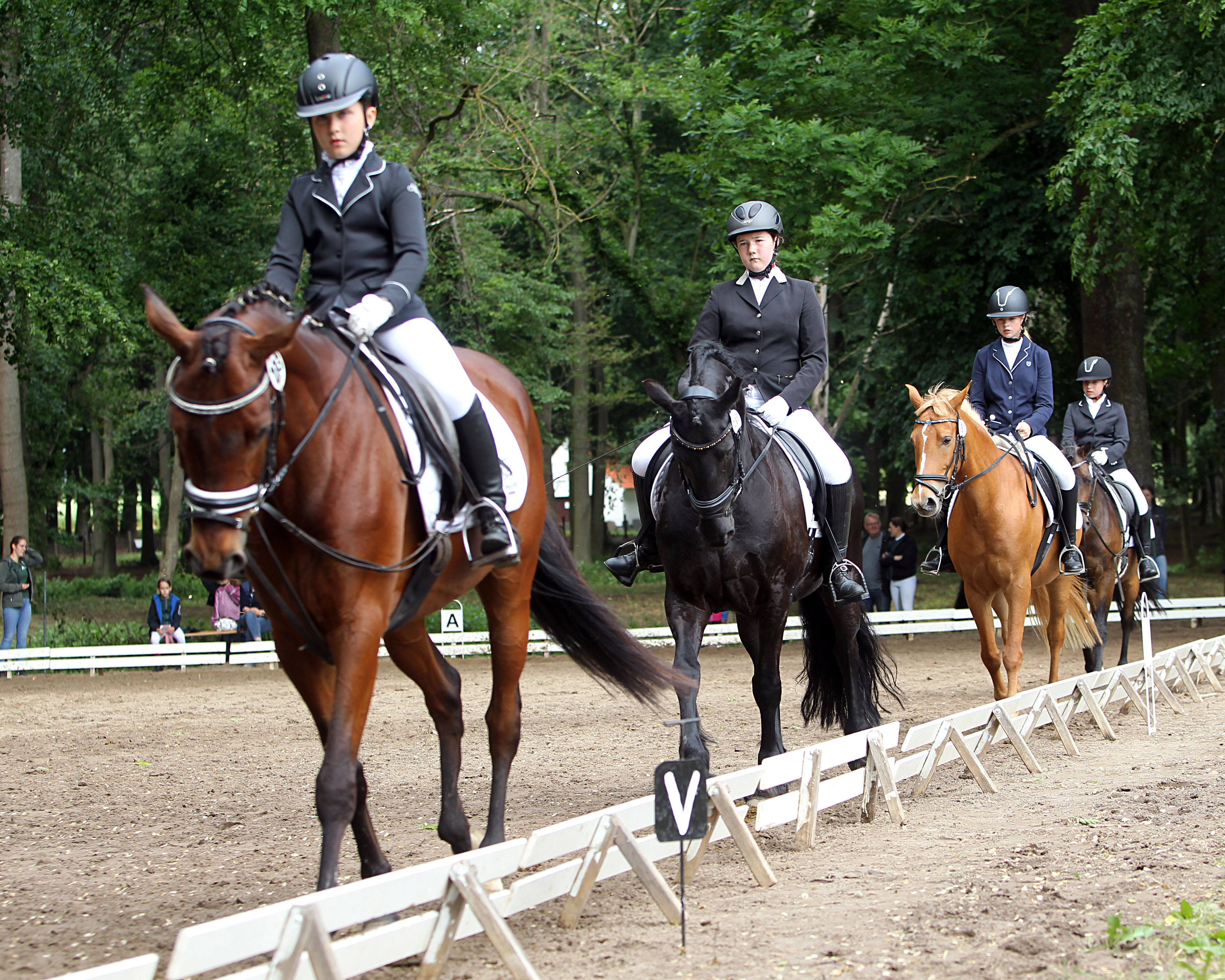 Die Kreismeister 2025 vom Landkreis MSE stehen fest