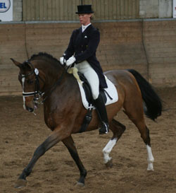 Marion Wiebusch gewann in Zierow mit Gilmore einen Grand Prix und wurde in der Inter II Zweite und Dritte. Foto: Jutta Wego
