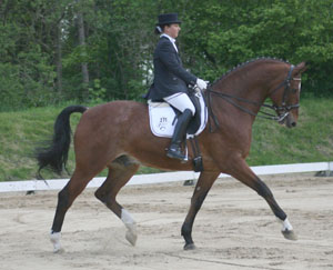 Die 25-jährige Susanne Clasen gewann in Rothenburg auf Leonardo die L- und M-Dressur. Foto: Jutta Wego