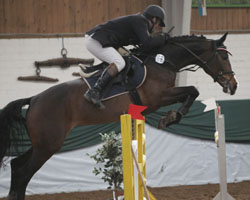 Marcel Dethloff gewann auf Escada das Hauptspringen beim Hallenturnier in Altkamp. Foto: Wego