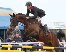 Sieg und 2. Platz für den Stakkato-Sohn Sternberg mit André Thieme in den Springpferdeprüfungen.