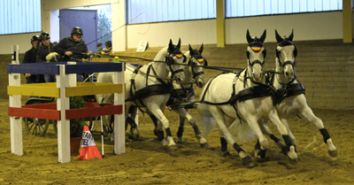 Dietmar Timm war der "Platzhirsch" in der Vierspännerkonkurrenz beim 1. Fahrturnier in Alt Sammit. Foto: Jutta Wego