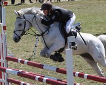 Die zwei Siege von Aila Wirkner (Obermützkow) wurden von den Fans wie Wöpkendorfer Erfolge gefeiert, weil sich Pony Little Gone im Besitz der einheimischen Familie Schumacher befindet. Die zwei Siege von Aila Wirkner (Obermützkow) wurden von den Fans wie Wöpkendorfer Erfolge gefeiert, weil sich Pony Little Gone im Besitz der einheimischen Familie Schumacher befindet.