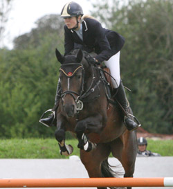 Mit Celine und zwei weiteren Cellestial-Nachkommen gewann Denis Svensson in Gadebusch 6 Springpferdeprüfungen. Foto: Jutta Wego