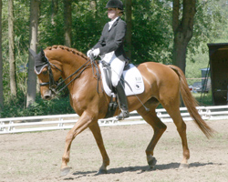 Kati Spierling hat zum zweiten Mal mit Befana Ralf Voß und Santana in einer L-Dressur auf den 2. Platz verwiesen. Kati Spierling hat zum zweiten Mal mit Befana Ralf Voß und Santana in einer L-Dressur auf den 2. Platz verwiesen.