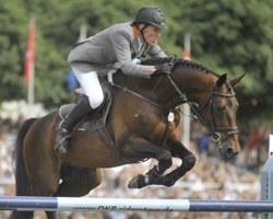 Ludger Beerbaum gewann auf dem 12-jährigen Hengst Chaman das DKB-Riders Tour Springen in Wiesbaden. Foto: Holger Schupp Ludger Beerbaum gewann auf dem 12-jährigen Hengst Chaman das DKB-Riders Tour Springen in Wiesbaden. Foto: Holger Schupp