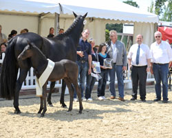Champion von Dante Weltino-Ferro mit der Züchterfamilie Marcel de Wilde, Lodbergen Geschäftsführer Urs Schweizer (2.v.re.) und Dieter Schmidt (re.). Foto: Tanja Becker Champion von Dante Weltino-Ferro mit der Züchterfamilie Marcel de Wilde, Lodbergen Geschäftsführer Urs Schweizer (2.v.re.) und Dieter Schmidt (re.). Foto: Tanja Becker