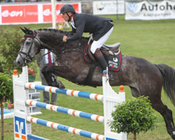 Ein tolles siebenjähriges Pferd mit viel Perspektive stellte André Thieme mit dem Contender-Nachkommen Contendrix vor. Ein tolles siebenjähriges Pferd mit viel Perspektive stellte André Thieme mit dem Contender-Nachkommen Contendrix vor.