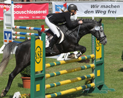Mit Wertnote 7,7 hat Lara Bergmann das Mecklenburger Pony Haeram in Neustadt-Dosse für das Bundeschampionat qualifiziert. Foto: Jutta Wego Mit Wertnote 7,7 hat Lara Bergmann das Mecklenburger Pony Haeram in Neustadt-Dosse für das Bundeschampionat qualifiziert. Foto: Jutta Wego