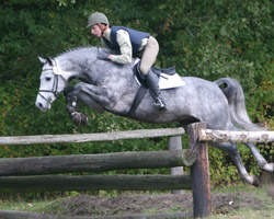 Der in Rupensdorf aufgestellte Holsteiner COSINEVAL (Cosimo x Cassini I) beim 70-Tage-Test unter Paul Wiktor im Oktober 2010 in Redefin. Foto: Wego Der in Rupensdorf aufgestellte Holsteiner COSINEVAL (Cosimo x Cassini I) beim 70-Tage-Test unter Paul Wiktor im Oktober 2010 in Redefin. Foto: Wego