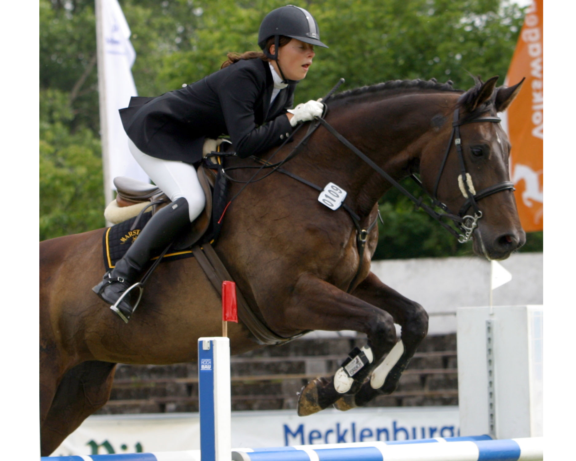 Die Gio Granno-Tochter Giowina (Züchter Manfred Görke, Grieben) gehört zum Stutenstamm der Almgrenze und ist unter Michaela Jörke sehr erfolgreich. Fotos: Wego
