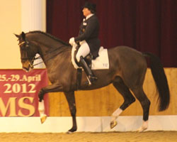 Bianca Kasselmann aus Hagen gewann mit Weltclassiker beim ADC-Turnier in Ankum den Grand Prix und den Spezial. Foto: ADC-Turnier