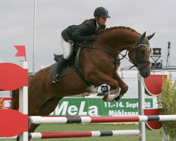 Dramatiker ist der Starhengst im Gestüt Ganschow. Der Trakehner hat sich durchschlagend positiv vererbt und ist selbst im Parcours sehr leistungsstark. Foto: Wego