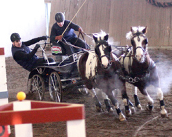 Mit haushohem Vorsprung gewann der einheimische Otto Schmicker (16 Jahre) die Zweispännerkonkurrenz der Ponys. Foto: Lohrmann