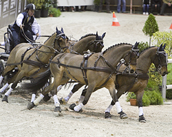 Der Australier Boyd Exell ist nicht zu stoppen und hat in Bordeaux seinen Weltcuptitel aus dem Vorjahr verteidigt. Foto:Rinaldo de Crean