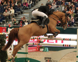Thomas Kleis galoppierte mit Questa Vittoria in Offenburg knapp am Sieg im Großen Preis vorbei und wurde Zweiter. Foto: Wego