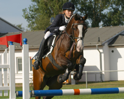 StPrSt. NORINA (DR) v. Top Nordstern - St.Pr.H./Prinz (Z.: Wilfried Wegener, Gudderitz)