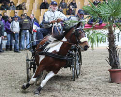 Kai & Tom Schicketanz gehörten zum Siegerteam im Wettbewerb