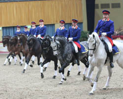 Die Quadrille des Landgestütes Redefin eröffnete die Show am Samstag. Foto: Lohrmann