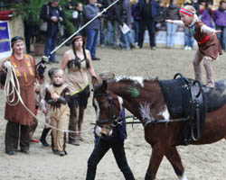 Der Hof Bohm war im Bild der Lewitzer unter Leitung von Daniela Duscha mit einer Indianer-Voltigiergruppe vertreten. Foto: Lohrmann