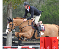 André Thieme bei seinem Sieg in Ocala mit Caesar. Foto: ESI