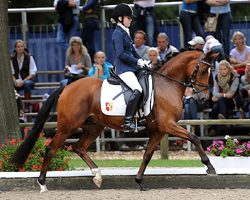 Bundeschampion Charlie Rivel. Foto: Stiller