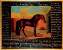 Der Hengst "Goldolphin Arabian” (ca. 1724-1753) gilt als einer der einflussreichsten Stammväter des englischen Vollbluts. Foto: © National Horseracing Museum Newmarket