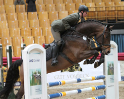 Paul Wiktor mit dem fünfjährigen Redefiner Hengst Checkland v. Check In. Foto: Jutta Wego